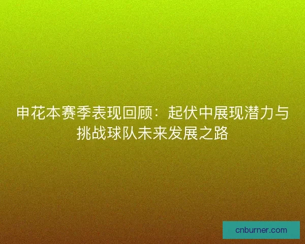 申花本赛季表现回顾：起伏中展现潜力与挑战球队未来发展之路