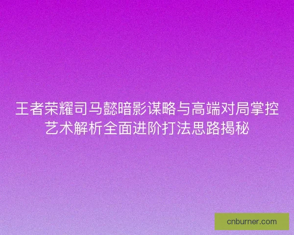 王者荣耀司马懿暗影谋略与高端对局掌控艺术解析全面进阶打法思路揭秘