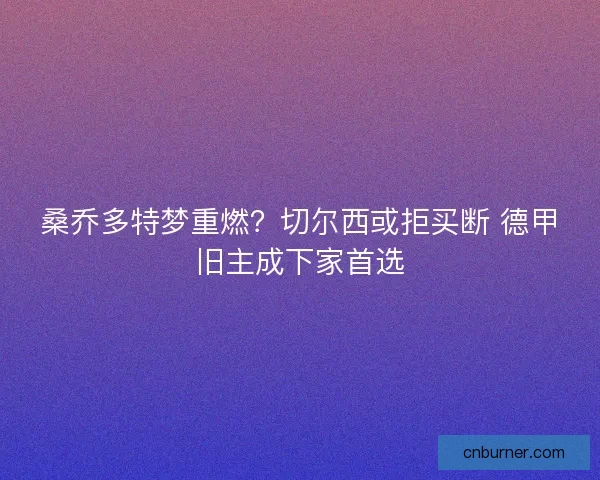 桑乔多特梦重燃？切尔西或拒买断 德甲旧主成下家首选
