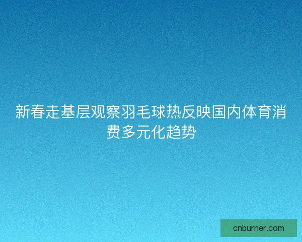 新春走基层观察羽毛球热反映国内体育消费多元化趋势